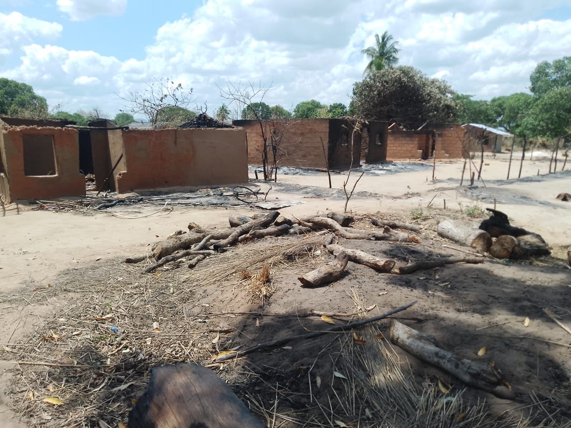 Imagem sobre meio ambiente