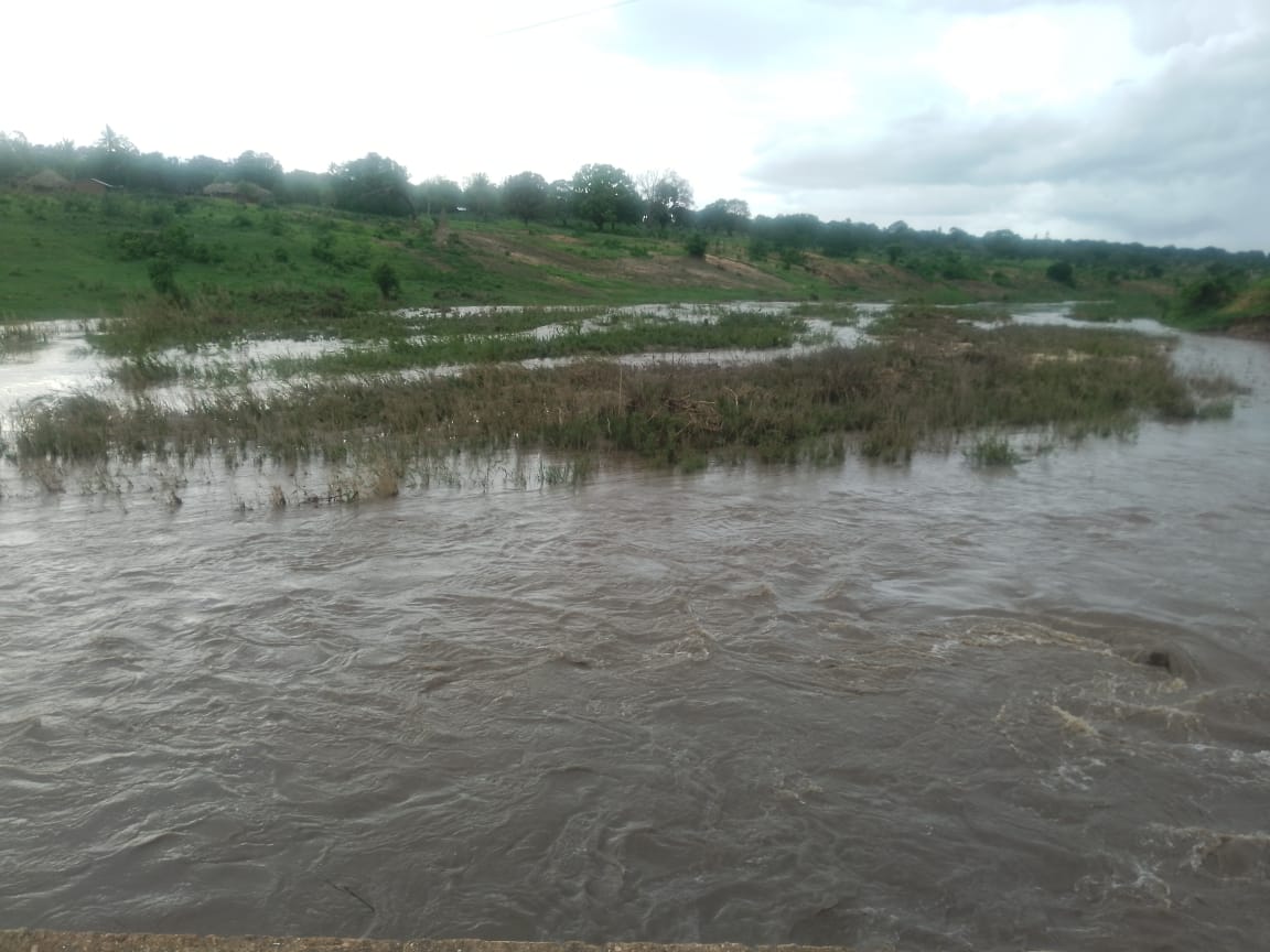 Imagem sobre meio ambiente