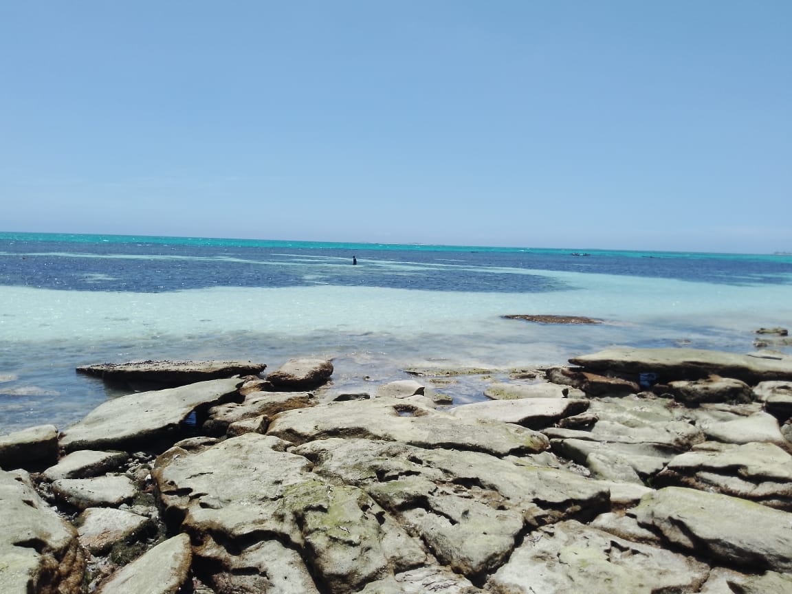 Imagem sobre meio ambiente