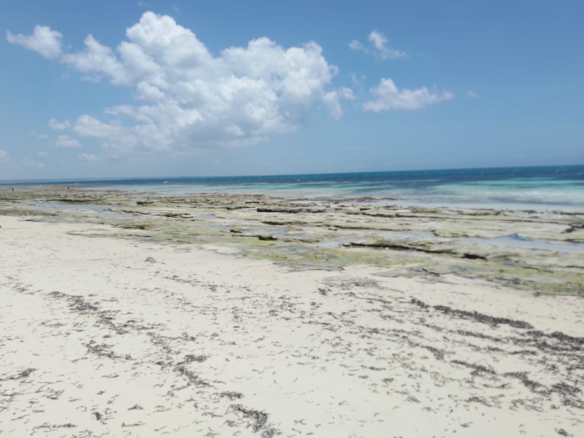 Imagem sobre meio ambiente